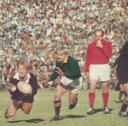 allblacks.jpg
