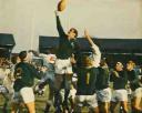 boklineout.jpg